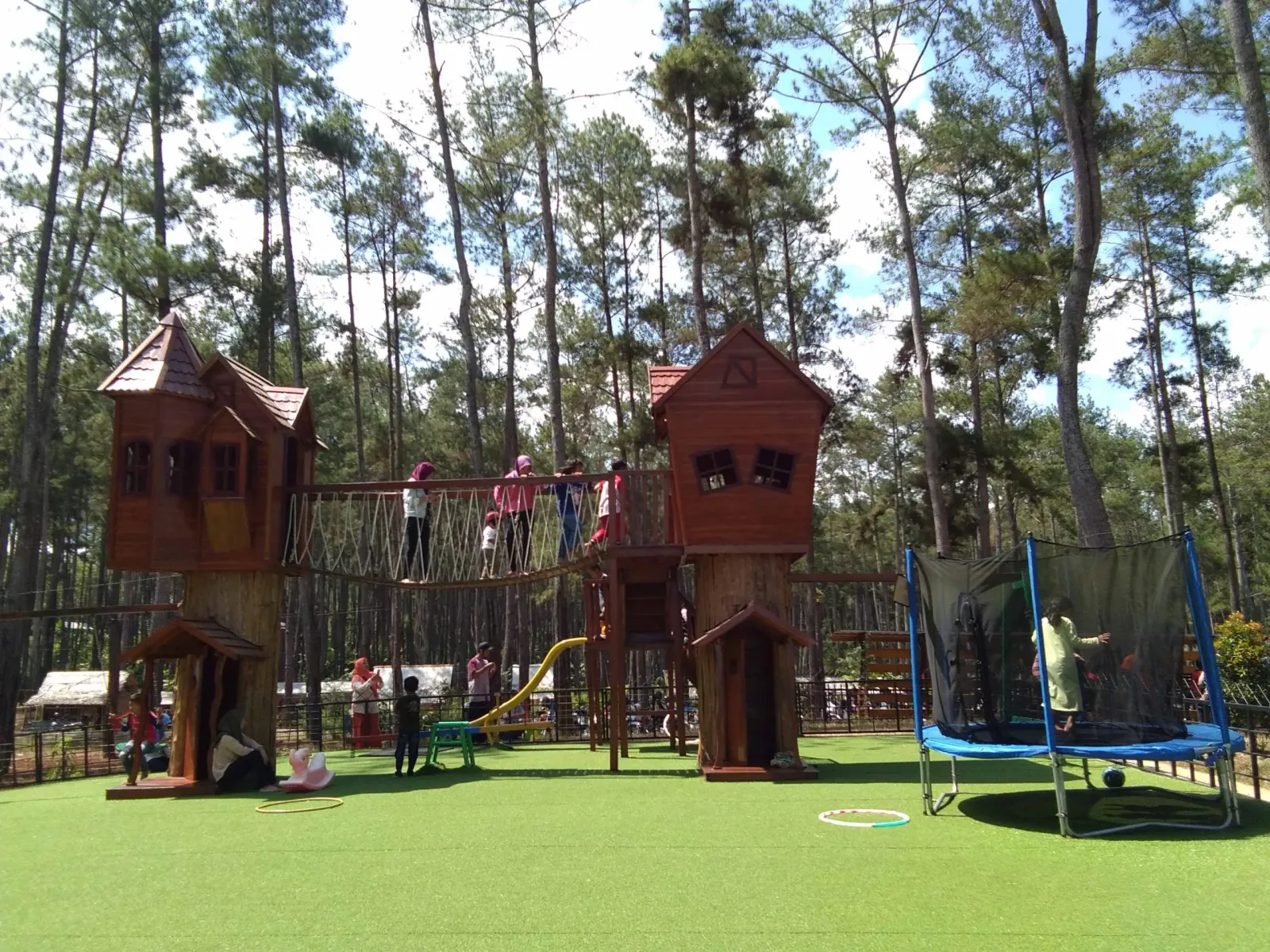 Hutan Pinus yang Menyembuhkan: Kemit Forest Education