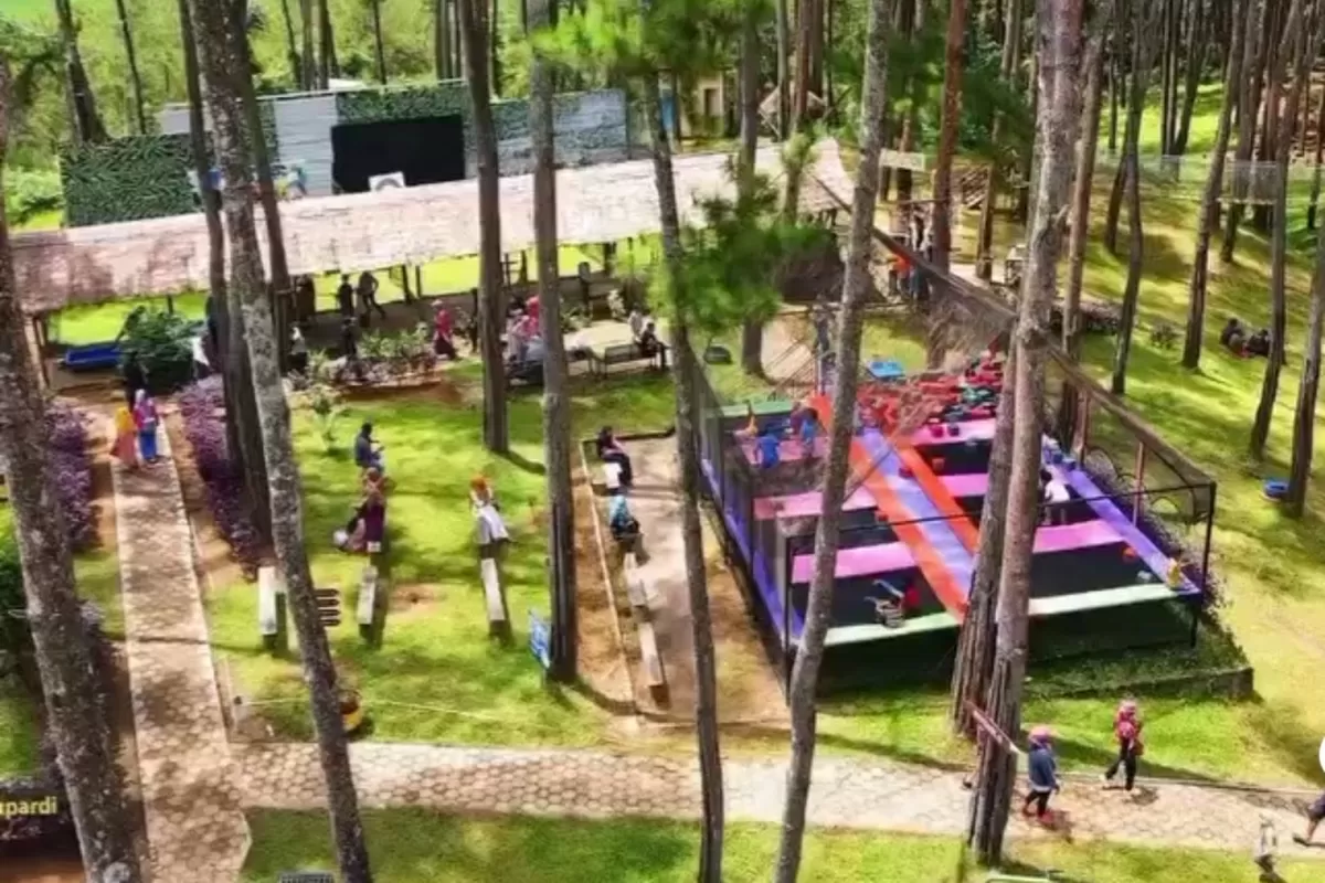 Hutan Pinus yang Menyembuhkan: Kemit Forest Education, Tempat Bermain & Belajar di Cilacap