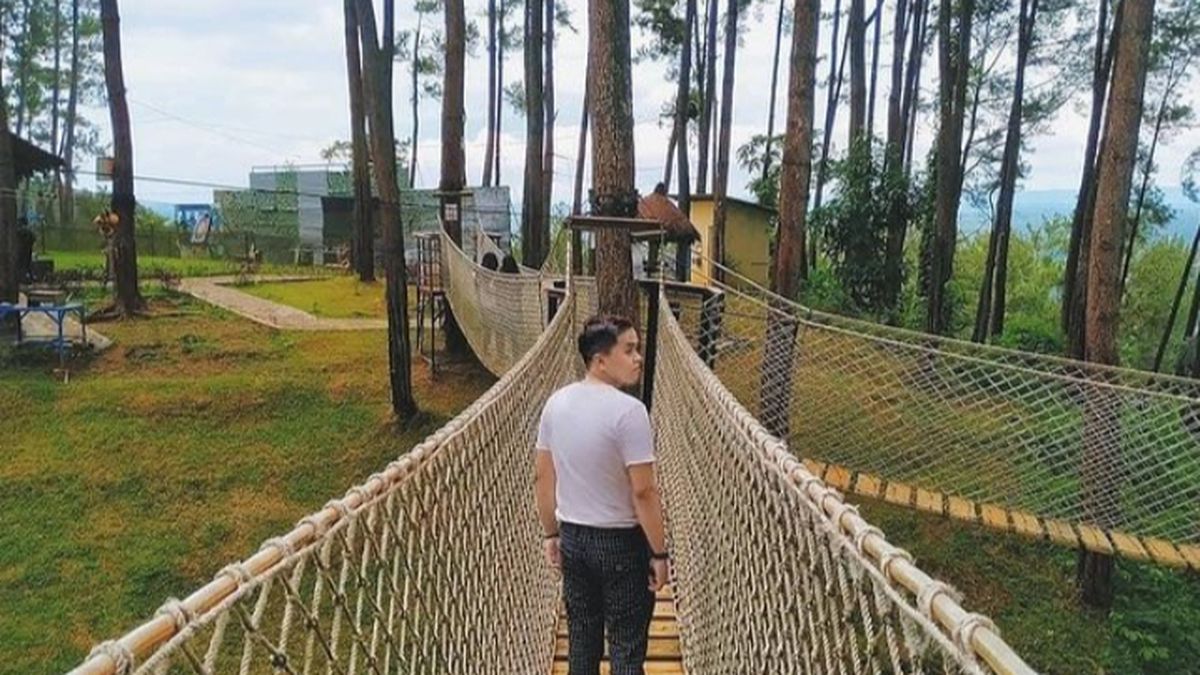 Hutan Pinus yang Menyembuhkan: Kemit Forest Education, Destinasi Wisata Keluarga di Cilacap